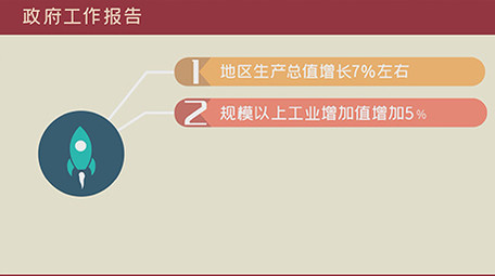 政府报告数据字幕MG动画