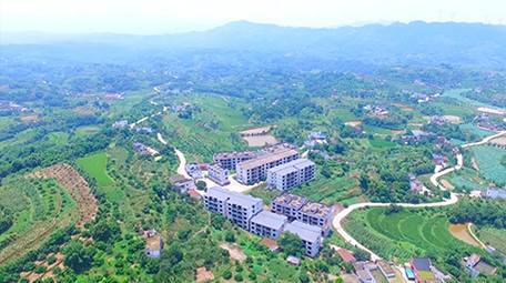 大气乡村振兴航拍大景