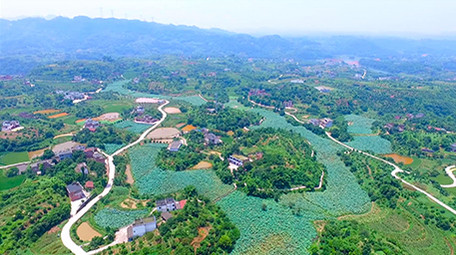 大气乡村振兴航拍大景