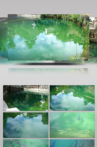实拍清澈见底的公园湖底图片