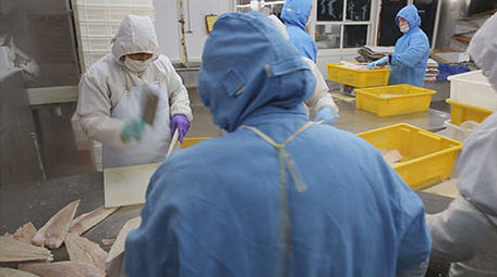 海产品加工食品厂车间工人工作流水线作业