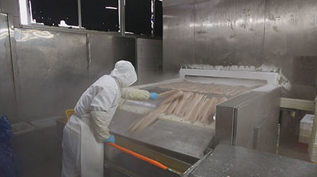 海产品加工食品厂车间工人工作流水线作业