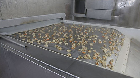 海产品加工食品厂车间工人工作流水线作业