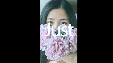 扁平化快闪手机竖版产品图文展示AE模板