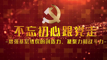 大气党政图文照片墙宣传会声会影模板