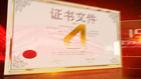 红色党政荣誉证书展示