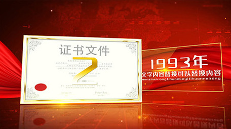 红色党政荣誉证书展示