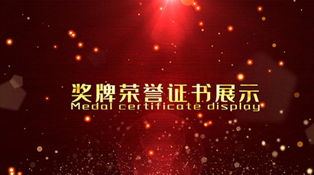 震撼大气红色党政图文荣誉证书展示AE模板