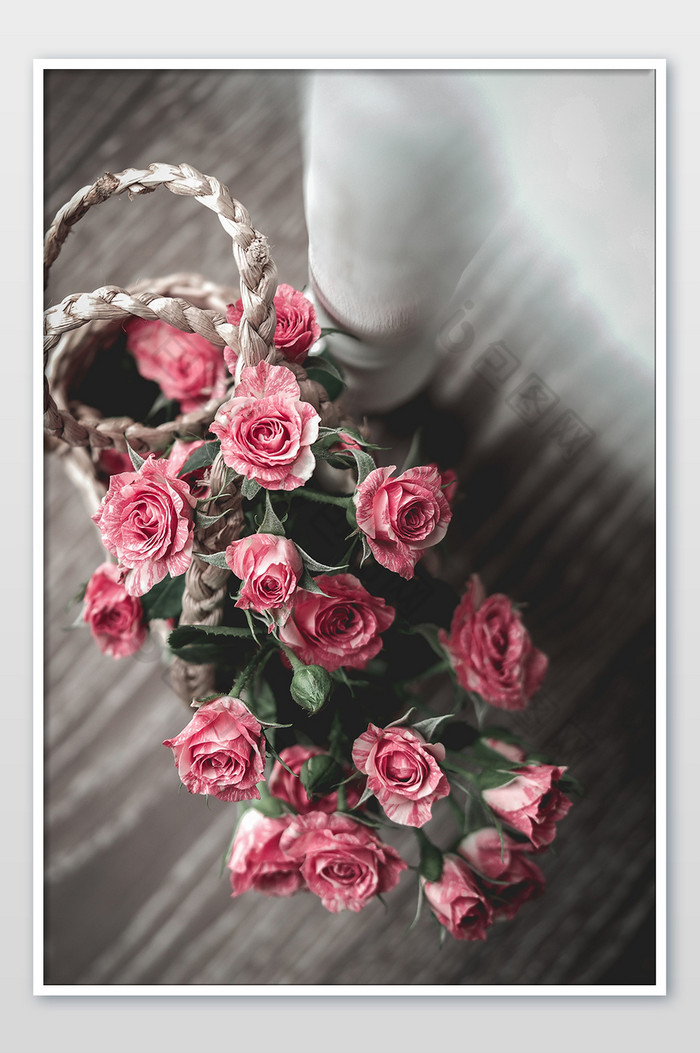 亮调清新粉色玫瑰鲜花静物摄影图片图片