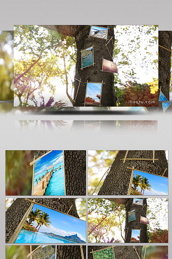 夏日大树上悬挂相片AE模板图片