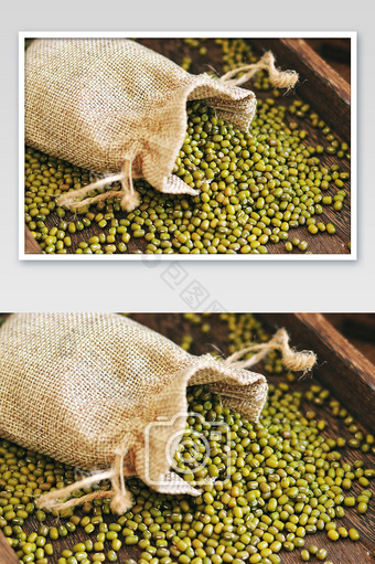 绿豆农作物五谷杂粮谷物图片