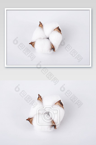 白色棉花棉球脱脂棉家用自然白底摄影图片