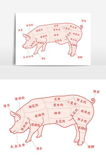 猪食用部位图猪肉结构图矢量ai图片下载