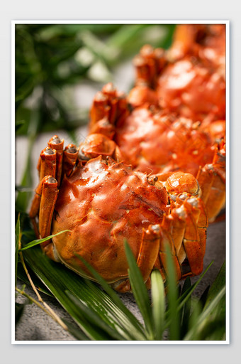 生鲜水产美食大闸蟹高清细节图片