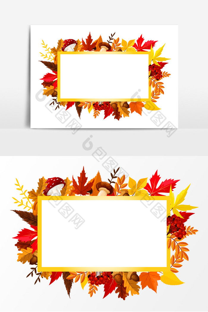 秋天红叶植物边框图片图片