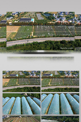 4K航拍农业大棚水果蔬菜种植基地图片