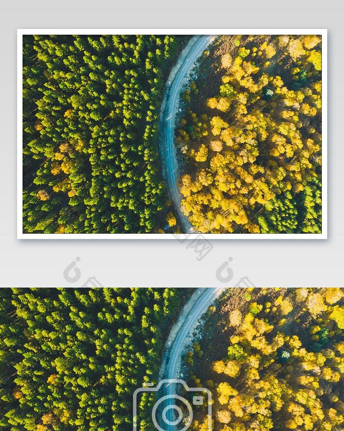 航拍秋季特色景观一半绿一般黄图片图片