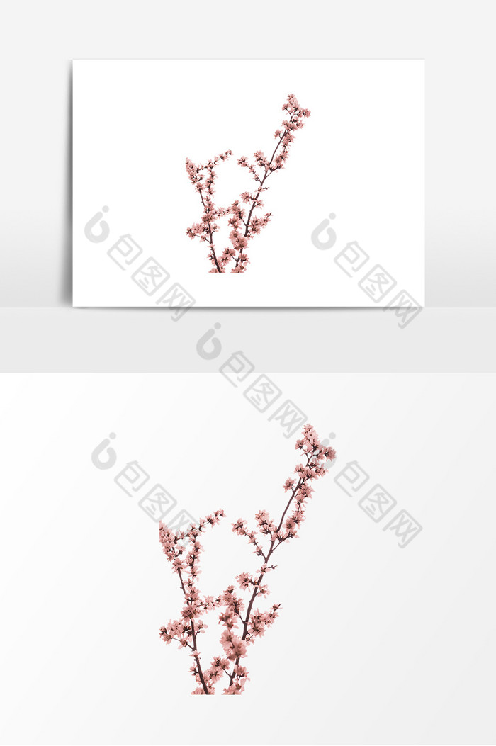 樱花枝日系摄影图图片图片