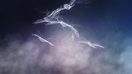 努力变优秀抽象流光飞鸟特效片头