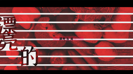 独特设计感黑白图文排版快闪片头AE模板