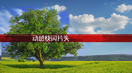 动感时尚快闪片头PR模板