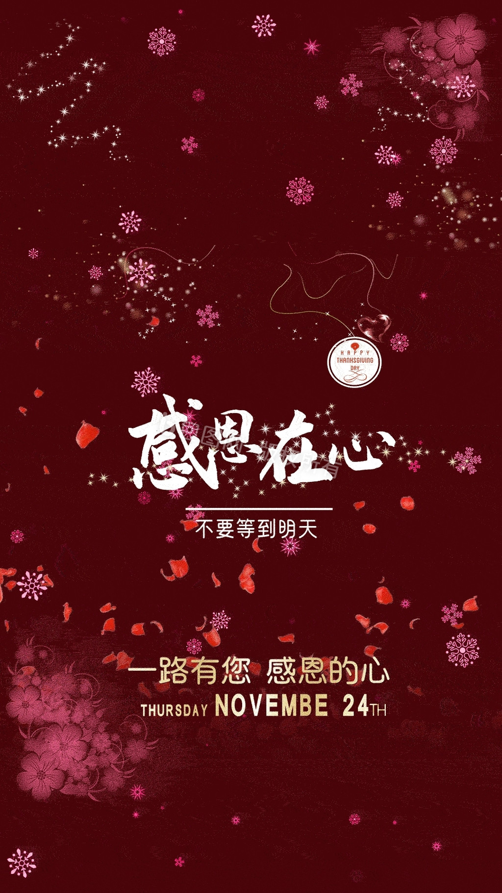 红色感恩节节日动态海报宣传模板