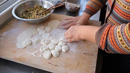 vlog素材家庭日常手工擀皮包饺子