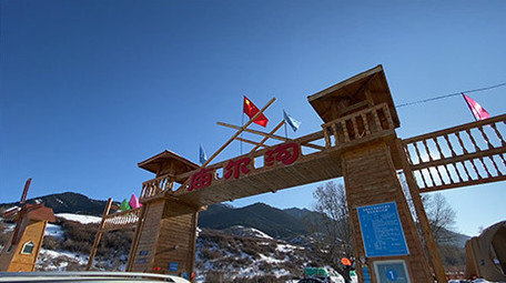 冬天新疆雪景庙尔沟森林景区实拍视频