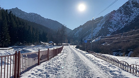 冬天新疆雪景庙尔沟森林景区实拍视频