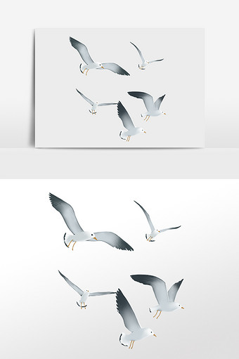 飞翔海鸥鸟类候鸟