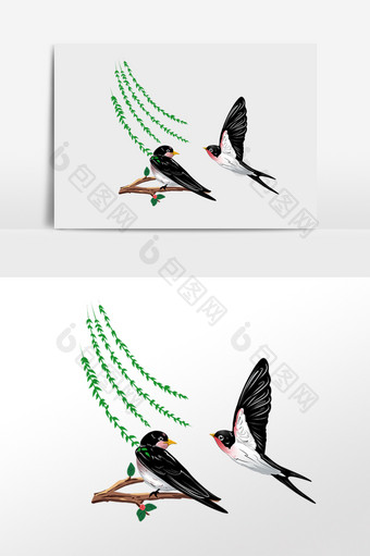 春天动物燕子鸟类图片