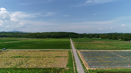 航拍高清皖南农业示范园实拍