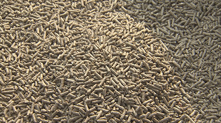 实拍动物颗粒饲料视频