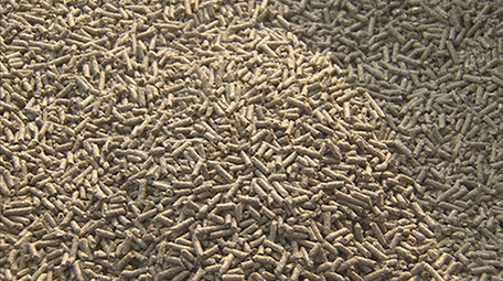 实拍动物颗粒饲料视频