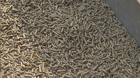 实拍动物颗粒饲料视频