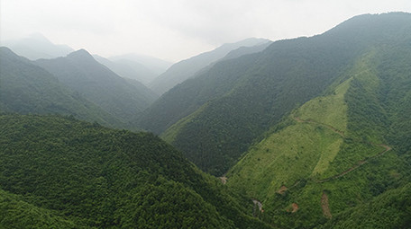 航拍高清原生态原始森林