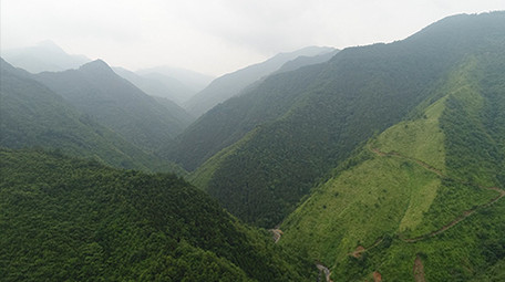 航拍高清原生态原始森林
