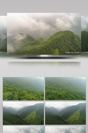 航拍高清原生态原始森林图片
