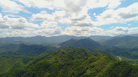 震撼航拍高清山区森林生态环境