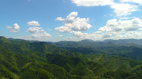 震撼航拍高清山区森林生态环境