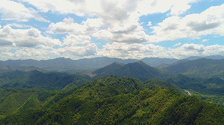 震撼航拍高清山区森林生态环境