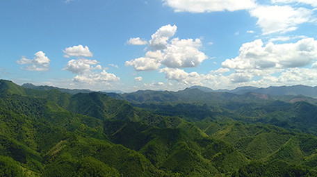 震撼航拍高清山区森林生态环境
