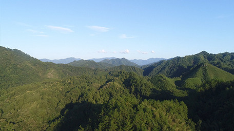 航拍高清山区森林村庄