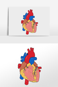 卡通手绘人体器官心脏动脉静脉插画