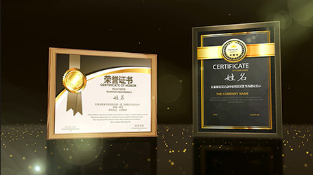 金色证书荣誉年会图片照片资质AE模板