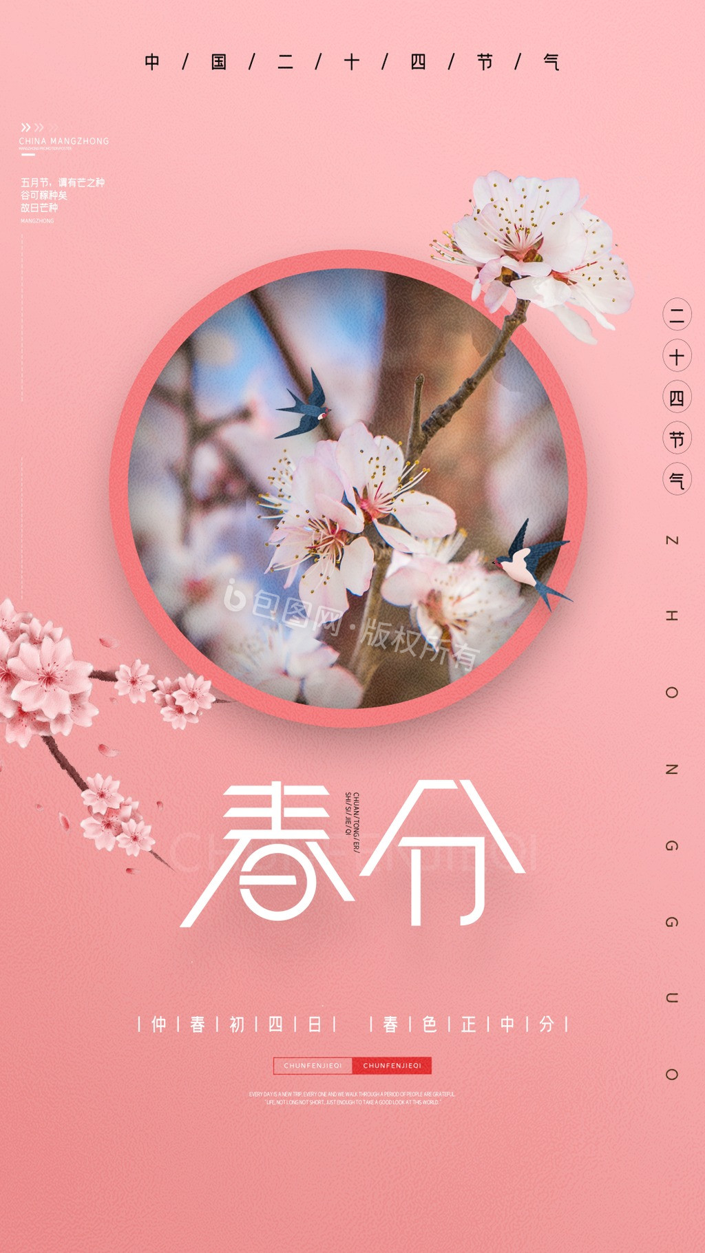 粉色唯美樱花二十四节气春分宣传动态海报图片