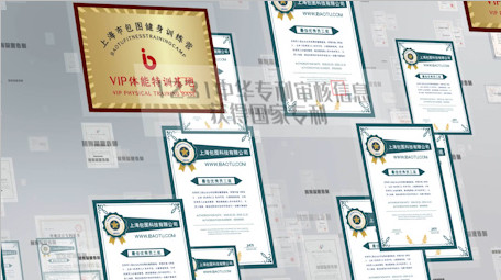 最新中国ISO证书公司荣誉专利AE模板