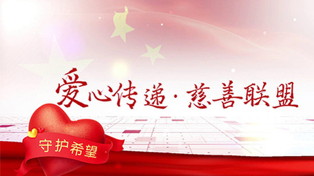 大气党政爱心公益数据图文展示pr模板