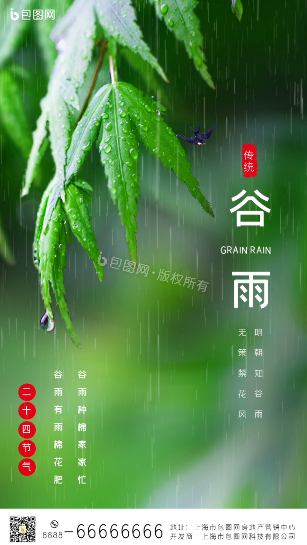 绿色谷雨二十四节气手机动态海报GIF图片