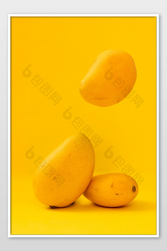 黄色背景新鲜的悬浮芒果图片